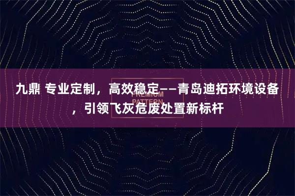 九鼎 专业定制，高效稳定——青岛迪拓环境设备，引领飞灰危废处置新标杆